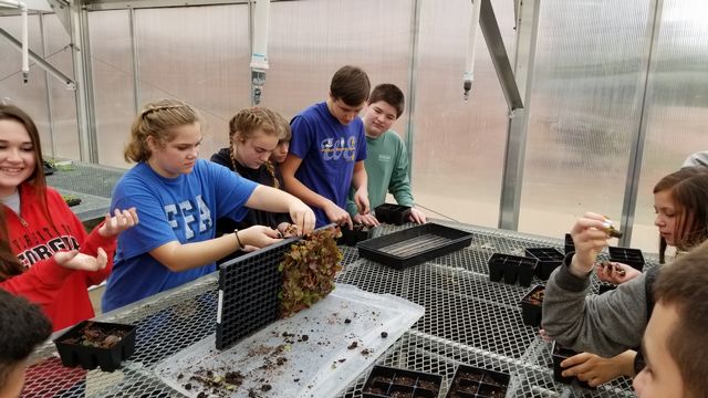 FCMS agriculture students gain hands on experiences in the middle school greenhouse